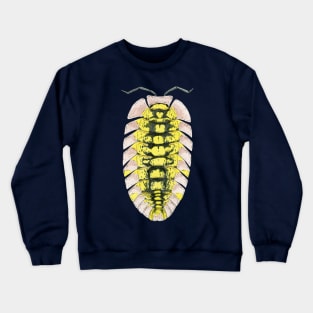 Pyrgoniscus luteus Isopod Crewneck Sweatshirt